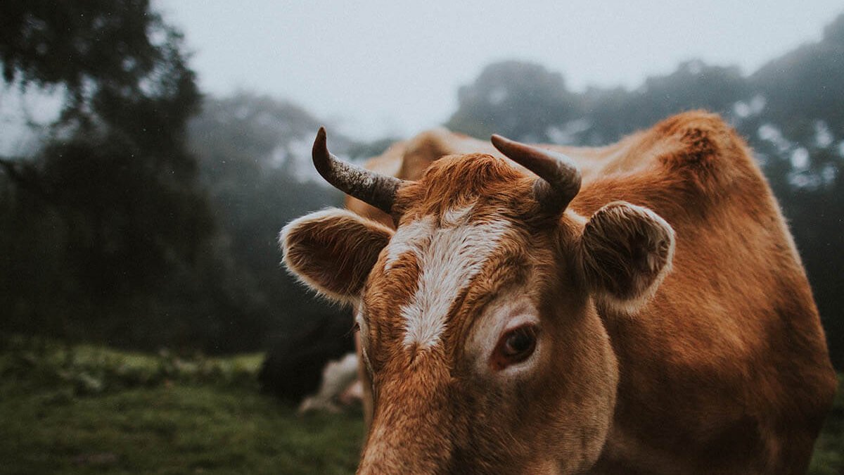 Who Else Wants To Know The Mystery Behind Travel?